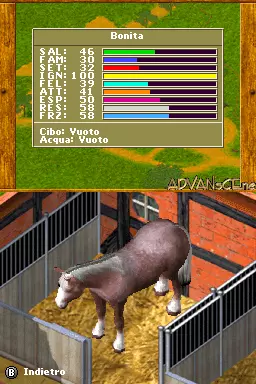 Image n° 3 - screenshots : Horse & Foal - My Riding Stables